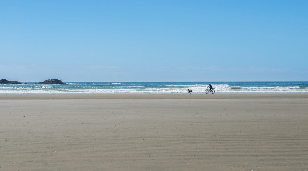 Cyclist and Dog on Long Beach Fine Art Print by Panoramic Images