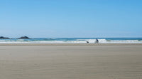 Cyclist and Dog on Long Beach Fine Art Print by Panoramic Images
