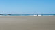Cyclist and Dog on Long Beach Fine Art Print by Panoramic Images