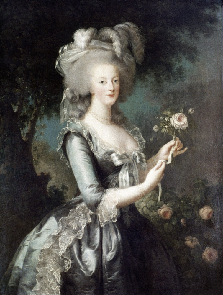 Marie Antoinette Oil on Canvas Fine Art Print by Louise Elisabeth Vigée Le Brun