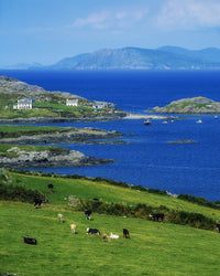 Ilnacullin, Beara Peninsula Fine Art Print by The Irish Image Collection