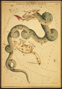 Draco and Ursa Minor Constellations 1825 Fine Art Print by Science Source