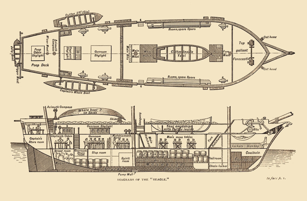 Plan of the HMS Beagle 1832 Fine Art Print by Science Source
