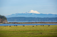 Whidbey Island Landscape Poster Print by Jolly Sienda