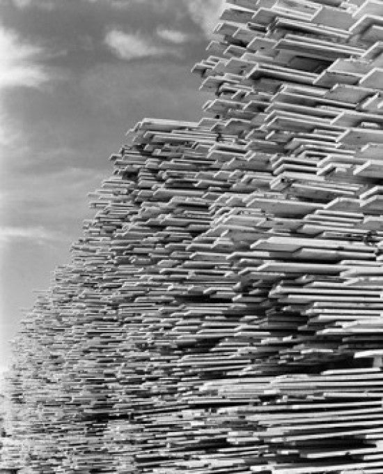 Stacks of Timber in a Lumberyard Fine Art Print