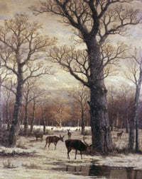 Deer Foraging in Winter 19th Century Fine Art Print - Item # VARSAL900132351