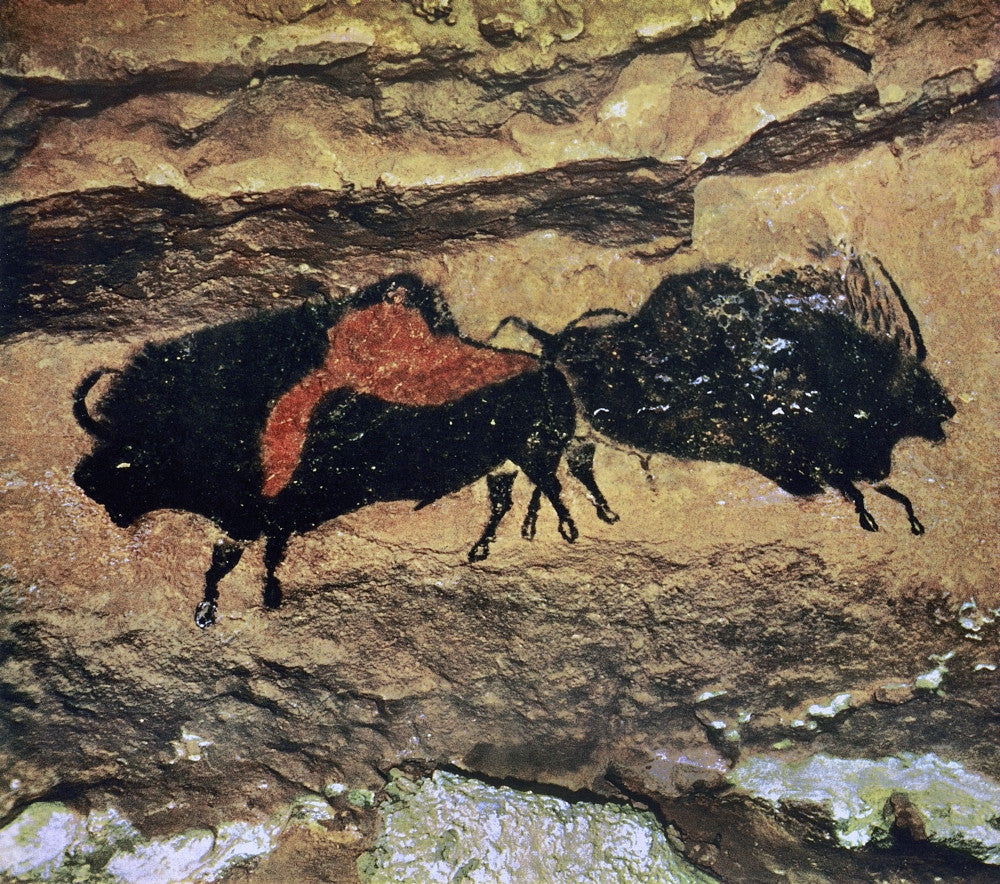 Cave Art: Bison from Lascaux, Dordogne - Fine Art Print