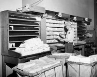 Postal Worker Sorting Mail in a Post Office Fine Art Print