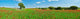 Panoramic View of Poppy Flowers Field in Cuenca, Spain Fine Art Print by Panoramic Images