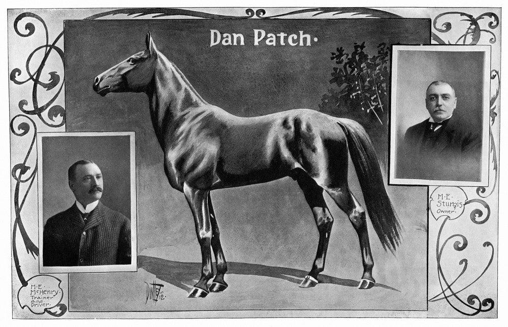 Dan Patch Racehorse Fine Art Print - Trainer & Owner Portraits