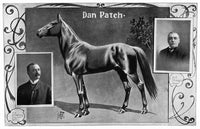 Dan Patch Racehorse Fine Art Print - Trainer & Owner Portraits