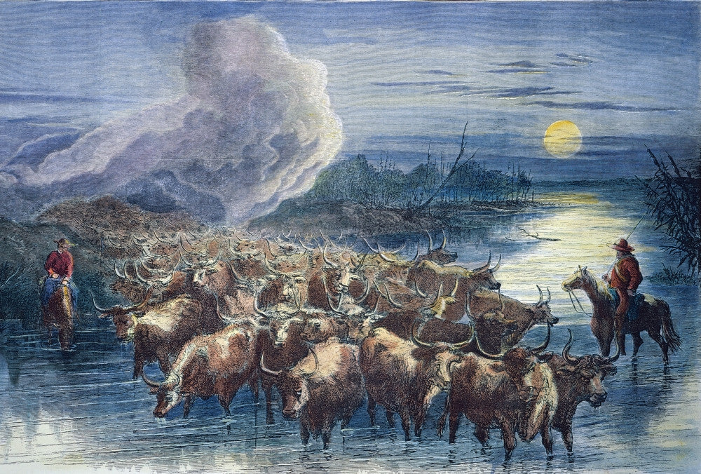 Texas Cattle Drive 1867 Wood Engraving Fine Art Print by Granger Collection