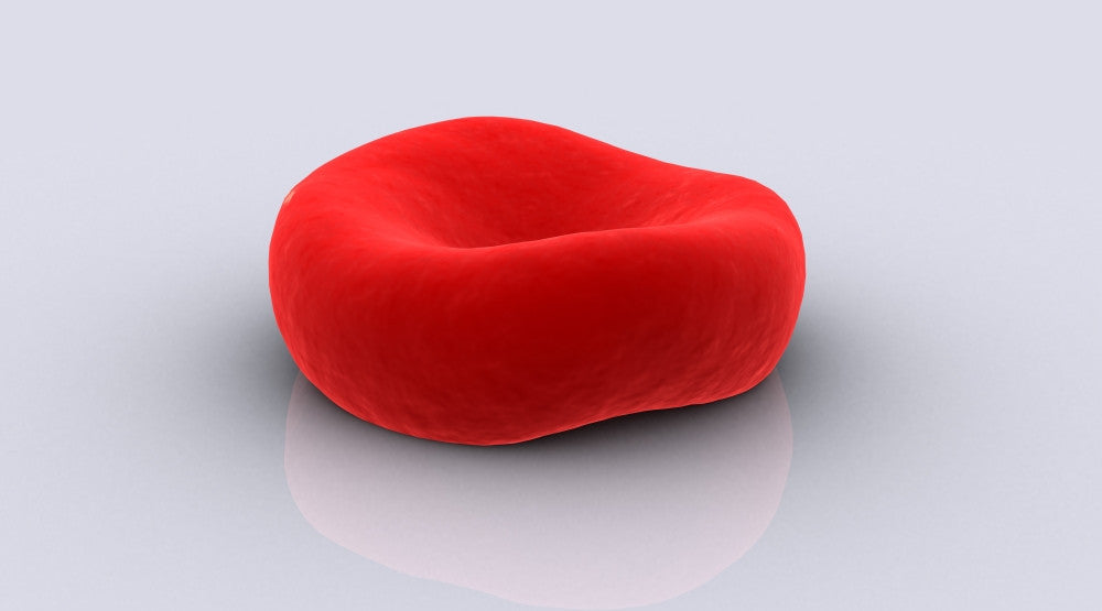 Conceptual Red Blood Cell Fine Art Print - StockTrek Images