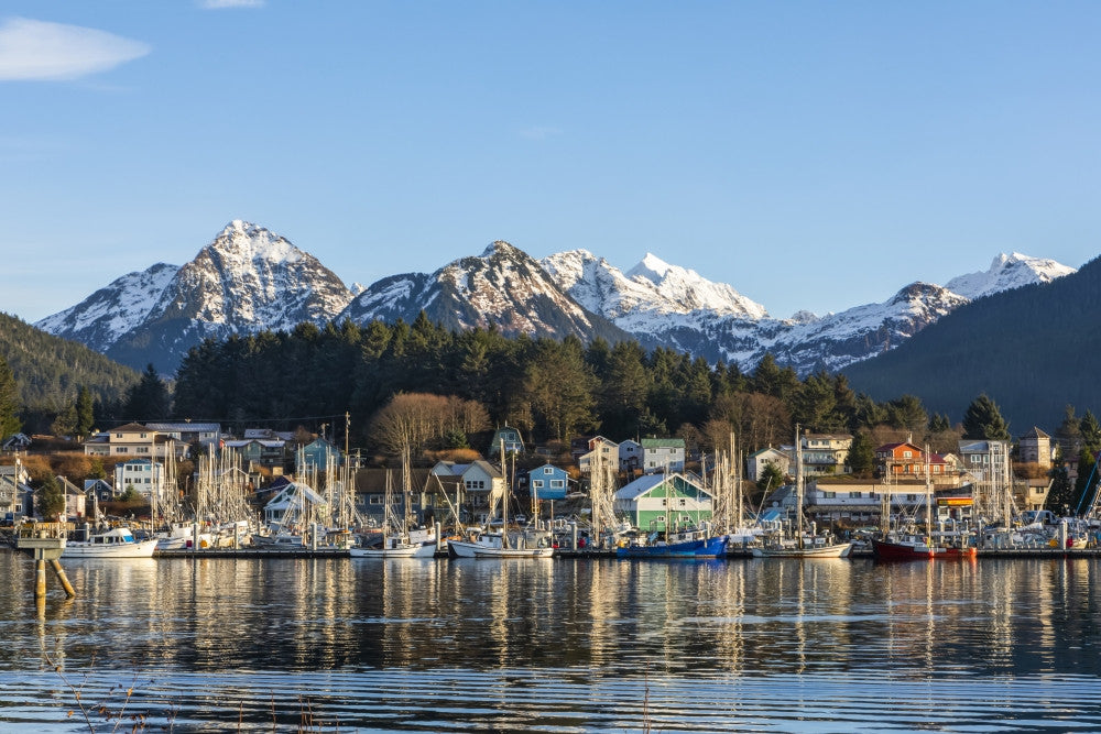 Winter View of Sitka Harbour Fine Art Print by Amber Johnson