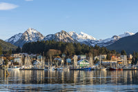 Winter View of Sitka Harbour Fine Art Print by Amber Johnson