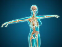 X-Ray View of Female Body Skeletal System Fine Art Print