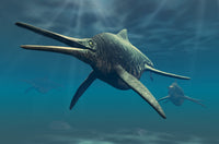 Shonisaurus Ichthyosaur Fine Art Print - Triassic Era