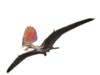 Tupandactylus Pterosaur Fine Art Print by Nobumichi Tamura