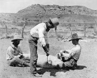 Cowboys Branding Cattle Fine Art Print by Erwin E. Smith