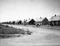 Houses along a Road in Levittown, New York Fine Art Print