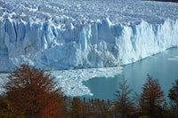 Perito Moreno Glacier Art Print by David Wall - Autumn in Patagonia
