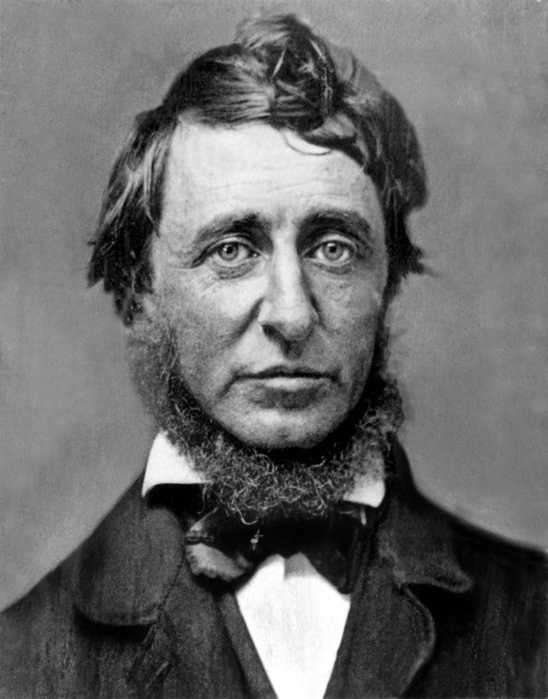 Henry David Thoreau Poster Print - Courtesy Csu Archives | Everett Collection