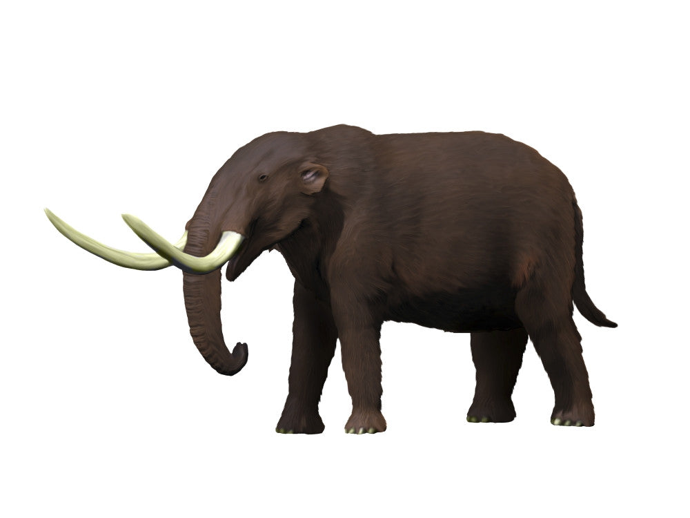 American Mastodon from the Pleistocene Epoch Fine Art Print