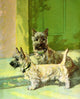 Cairn Terriers Fine Art Print by Diana Thorne - A Dog Book