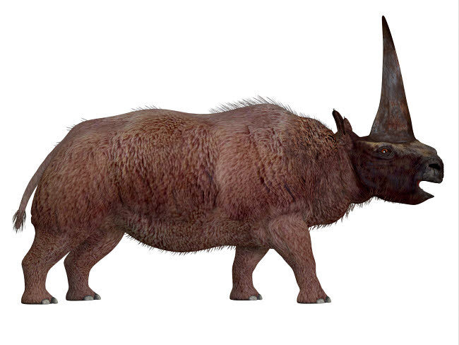 Elasmotherium Profile View Fine Art Print by Corey Ford