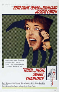 Hush...Hush, Sweet Charlotte Classic Movie Poster Print (27x40)