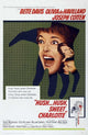 Hush...Hush, Sweet Charlotte Classic Movie Poster Print (27x40)