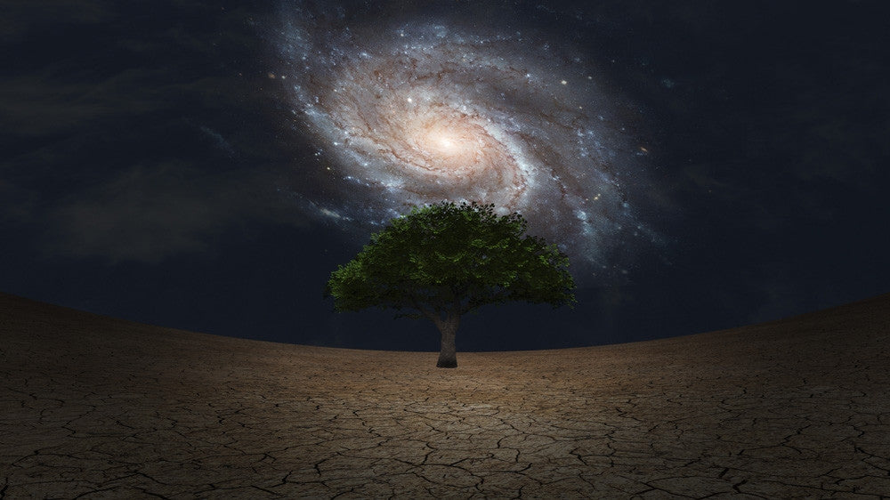 Surreal Green Tree and Galaxy Night Sky Fine Art Print by Bruce Rolff