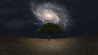 Surreal Green Tree and Galaxy Night Sky Fine Art Print by Bruce Rolff