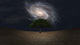 Surreal Green Tree and Galaxy Night Sky Fine Art Print by Bruce Rolff
