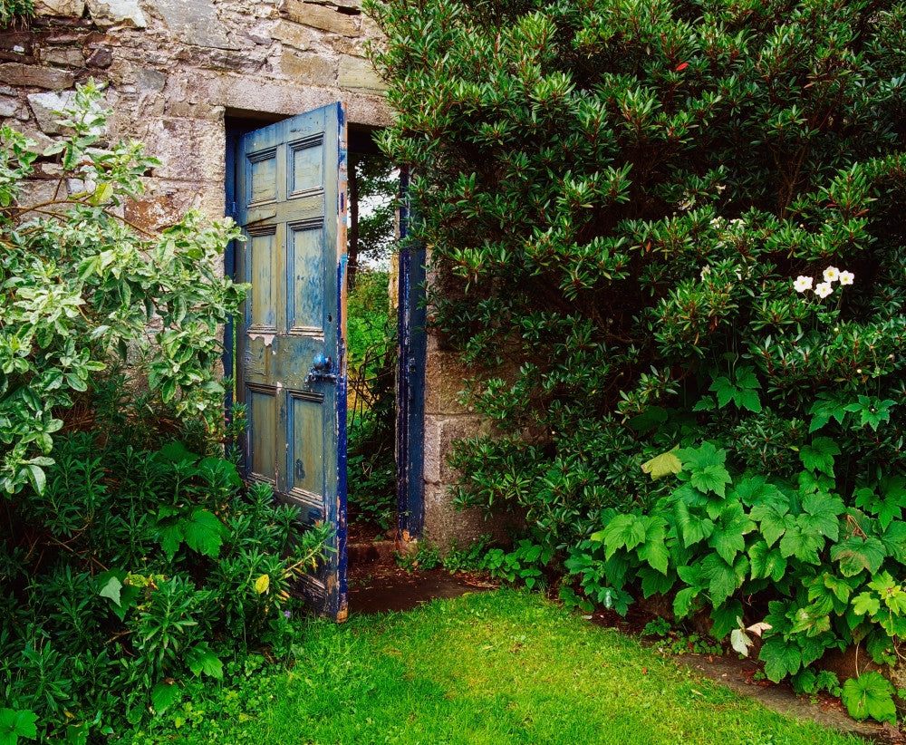 Gate to the Walled Garden in Summer Fine Art Print by The Irish Image Collection