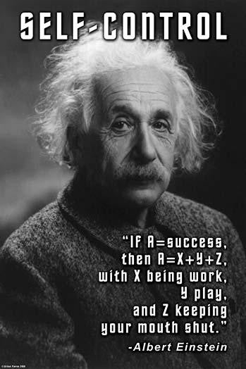 Albert Einstein Success Quote Fine Art Print by Wilbur Pierce