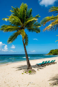 Carambola Beach Resort Fine Art Print by Michael DeFreitas - St. Croix