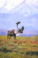 Caribou on Fall Tundra Fine Art Print by Tom Soucek | Design Pics