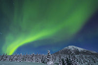 Aurora Borealis Over Donnelly Dome Fine Art Print by Steven Miley