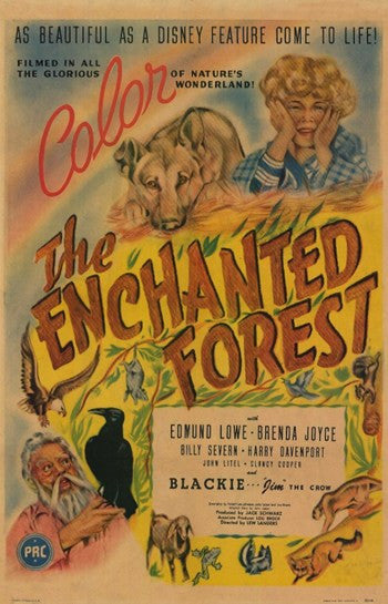 The Enchanted Forest Movie Poster - 11x17 Print