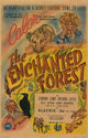 The Enchanted Forest Movie Poster - 11x17 Print