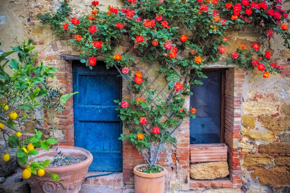 Italy, Val d' Orcia Two Doors with Vegetation Fine Art Print by Jaynes Gallery