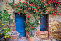 Italy, Val d' Orcia Two Doors with Vegetation Fine Art Print by Jaynes Gallery