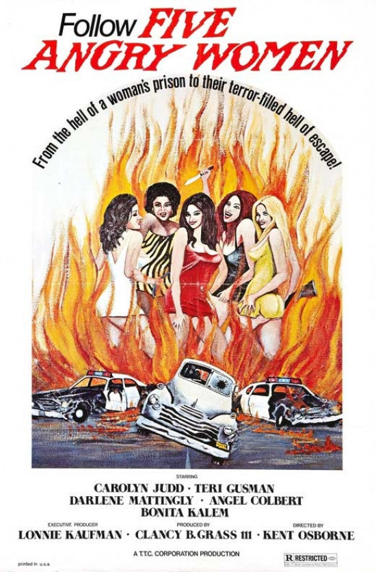Women Unchained Movie Poster 11x17 - Pop Culture Graphics