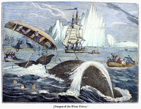 Whaling Crew Capsized by a Whale in the Arctic - Fine Art Print
