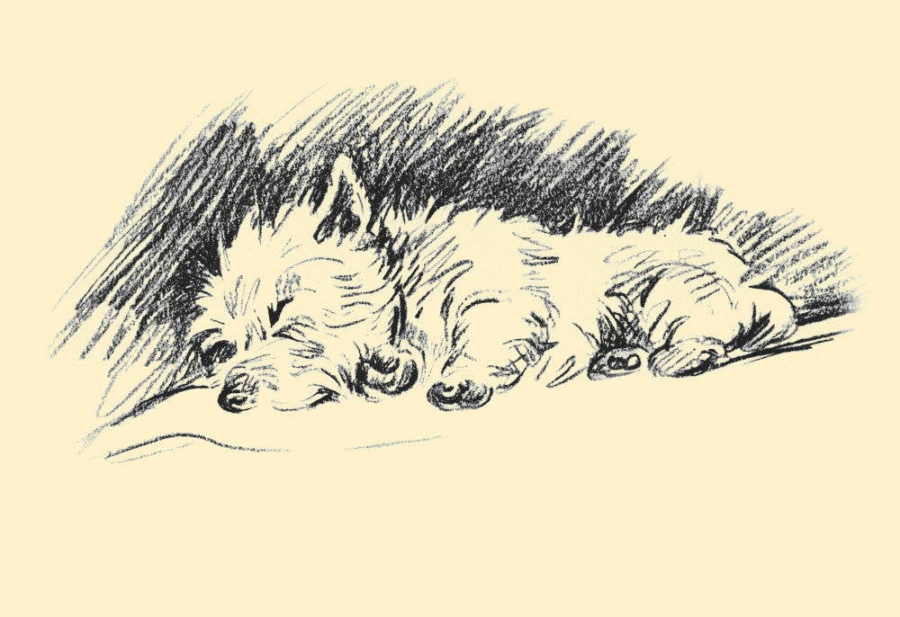 Pencil Dog Illustration from 'Dogs Rough & Smooth' by Lucy Dawson