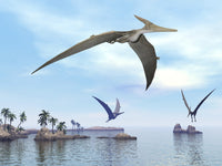Three Pteranodons Flying Over a Scenic Landscape Fine Art Print