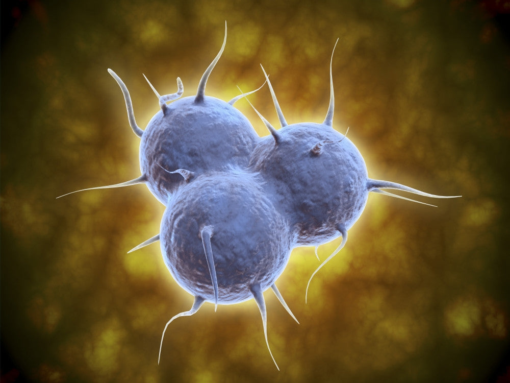 Conceptual RNA Virus Replication Fine Art Print
