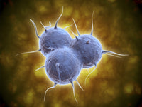 Conceptual RNA Virus Replication Fine Art Print