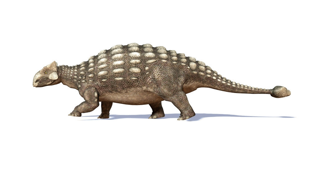 3D Ankylosaurus Dinosaur Fine Art Print - Side View
